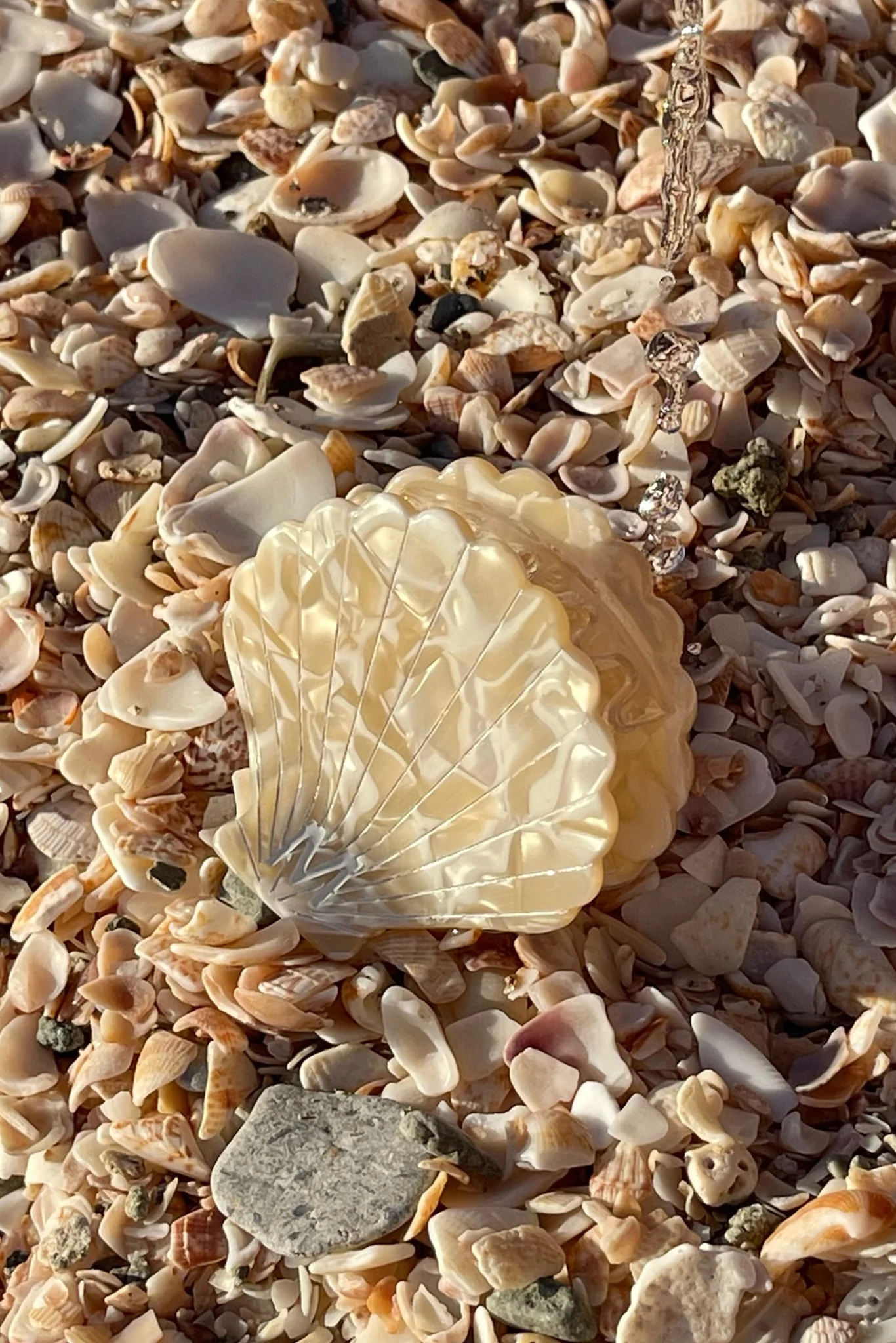 Sanibel Shell Hair Clip - Ivory Swirl - Image 3